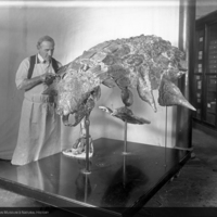 http://images.library.amnh.org/d/t/8x10/0001/00310273_l.jpg