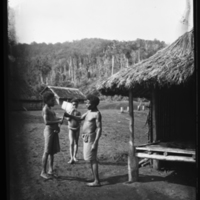 http://lbry-web-002.amnh.org/san/to_upload/Beck-PapuaNewGuinea/NG-5x7-negs/115745.jpg
