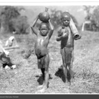 http://lbry-web-002.amnh.org/san/to_upload/Beck-PapuaNewGuinea/NG-5x7-prints/115584.jpg