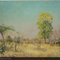 http://lbry-web-002.amnh.org/san/palais-de-tokyo-loan-paintings/100101663.jpg