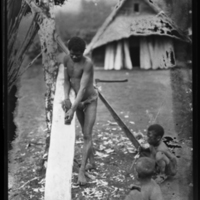 http://lbry-web-002.amnh.org/san/to_upload/Beck-PapuaNewGuinea/NG-5x7-negs/115563.jpg