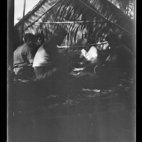 http://lbry-web-002.amnh.org/san/to_upload/Beck-PapuaNewGuinea/W-4x5-negs/273224.jpg
