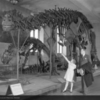 http://images.library.amnh.org/d/t/4x5/0001/00287895_l.jpg