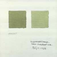 Plant color notes, for use in Chimpanzee Group, Akeley Hall of African Mammals