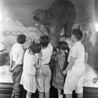 http://images.library.amnh.org/d/t/8x10/0002/00312176_l.jpg