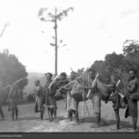 http://lbry-web-002.amnh.org/san/to_upload/Beck-PapuaNewGuinea/NG-5x7-prints/115527.jpg