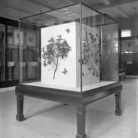 http://images.library.amnh.org/d/t/8x10/0001/00000395_l.jpg