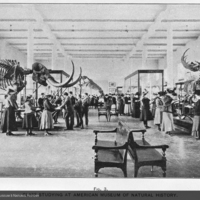 http://images.library.amnh.org/d/t/4x5/0001/00286913_l.jpg