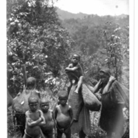 http://lbry-web-002.amnh.org/san/to_upload/Beck-PapuaNewGuinea/NG-5x7-prints/115642.jpg