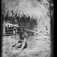 http://lbry-web-002.amnh.org/san/to_upload/Beck-PapuaNewGuinea/NG-5x7-negs/115534.jpg
