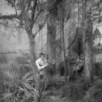 Ray deLucia preparing wild turkey, Southeastern Coastal Plains Forest exhibit, Forestry Hall, 1958