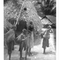 http://lbry-web-002.amnh.org/san/to_upload/Beck-PapuaNewGuinea/NG-5x7-prints/115635.jpg