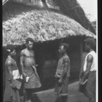 http://lbry-web-002.amnh.org/san/to_upload/Beck-PapuaNewGuinea/NG-5x7-negs/117444.jpg