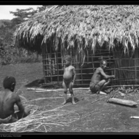 http://lbry-web-002.amnh.org/san/to_upload/Beck-PapuaNewGuinea/NG-5x7-negs/115552.jpg