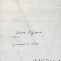 Folder cover for plant specimen for use in Leopard Group, Akeley Hall of African Mammals