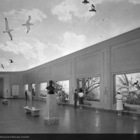 Whitney Memorial Hall of Oceanic Birds, 1939