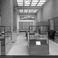 http://images.library.amnh.org/d/t/8x10/0002/00313071_l.jpg