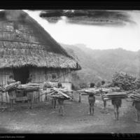 http://lbry-web-002.amnh.org/san/to_upload/Beck-PapuaNewGuinea/NG-5x7-negs/115535.jpg
