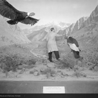 http://images.library.amnh.org/d/t/8x10/0002/00329258_l.jpg