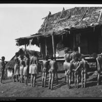 http://lbry-web-002.amnh.org/san/to_upload/Beck-PapuaNewGuinea/NG-5x7-negs/115556.jpg