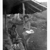 http://lbry-web-002.amnh.org/san/to_upload/Beck-PapuaNewGuinea/NG-5x7-prints/115530.jpg