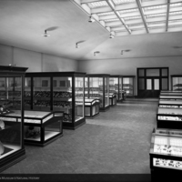 http://images.library.amnh.org/d/t/8x10/0001/00000378_l.jpg