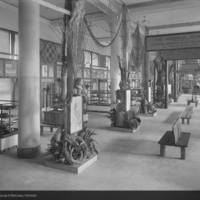 http://images.library.amnh.org/d/t/8x10/0001/00032291_l.jpg