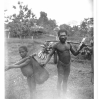 http://lbry-web-002.amnh.org/san/to_upload/Beck-PapuaNewGuinea/NG-5x7-prints/115609.jpg