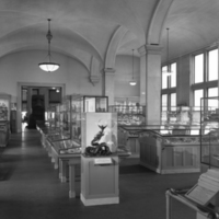 http://images.library.amnh.org/d/t/8x10/0002/00318261_l.jpg