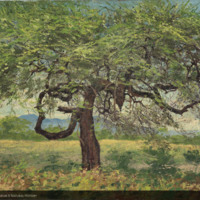 http://lbry-web-002.amnh.org/san/palais-de-tokyo-loan-paintings/100101670.jpg