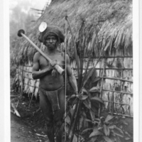 http://lbry-web-002.amnh.org/san/to_upload/Beck-PapuaNewGuinea/NG-5x7-prints/115716.jpg