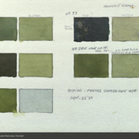 Plant color notes, watercolor, for use in Mandrill Group, Akeley Hall of African Mammals