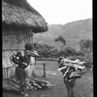 http://lbry-web-002.amnh.org/san/to_upload/Beck-PapuaNewGuinea/NG-5x7-negs/115555.jpg