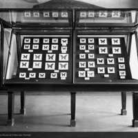 Hoffman Collection of North American Butterflies, Entomological Hall, 1899