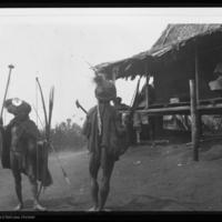 http://lbry-web-002.amnh.org/san/to_upload/Beck-PapuaNewGuinea/NG-5x7-negs/115727.jpg