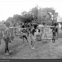 http://lbry-web-002.amnh.org/san/to_upload/Beck-PapuaNewGuinea/NG-5x7-prints/115529.jpg