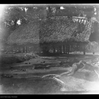 http://lbry-web-002.amnh.org/san/to_upload/Beck-PapuaNewGuinea/W-4x5-negs/273228.jpg