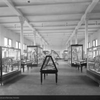 http://images.library.amnh.org/d/t/6x8/0001/00410686_l.jpg