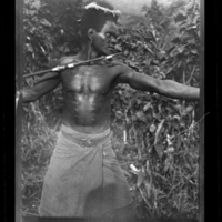 http://lbry-web-002.amnh.org/san/to_upload/Beck-PapuaNewGuinea/W-4x5-negs/273002.jpg