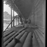 http://lbry-web-002.amnh.org/san/to_upload/Beck-PapuaNewGuinea/W-4x5-negs/273073.jpg