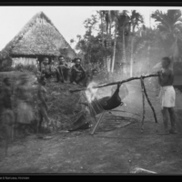 http://lbry-web-002.amnh.org/san/to_upload/Beck-PapuaNewGuinea/NG-5x7-negs/115624.jpg
