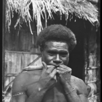 http://lbry-web-002.amnh.org/san/to_upload/Beck-PapuaNewGuinea/NG-5x7-negs/115562.jpg