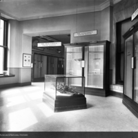 http://images.library.amnh.org/d/t/8x10/0001/00032059_l.jpg