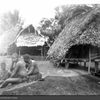 http://lbry-web-002.amnh.org/san/to_upload/Beck-PapuaNewGuinea/NG-5x7-prints/115754.jpg