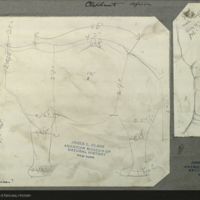 Young male elephant specimen measurement chart, for use in Akeley Hall of African Mammals