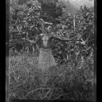 http://lbry-web-002.amnh.org/san/to_upload/Beck-PapuaNewGuinea/W-4x5-negs/273003.jpg