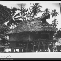 http://lbry-web-002.amnh.org/san/to_upload/Beck-PapuaNewGuinea/NG-5x7-negs/115765.jpg