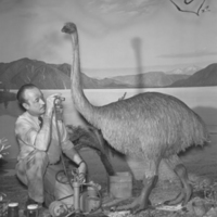 http://images.library.amnh.org/d/t/8x10/0002/00322212_l.jpg