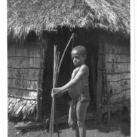 http://lbry-web-002.amnh.org/san/to_upload/Beck-PapuaNewGuinea/NG-5x7-prints/115531.jpg