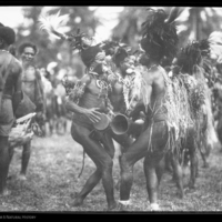 http://lbry-web-002.amnh.org/san/to_upload/Beck-PapuaNewGuinea/NG-5x7-negs/115654.jpg